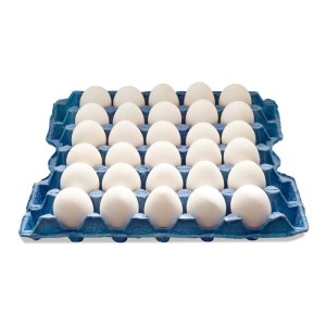 Egg White Medium Indian 30 PCs